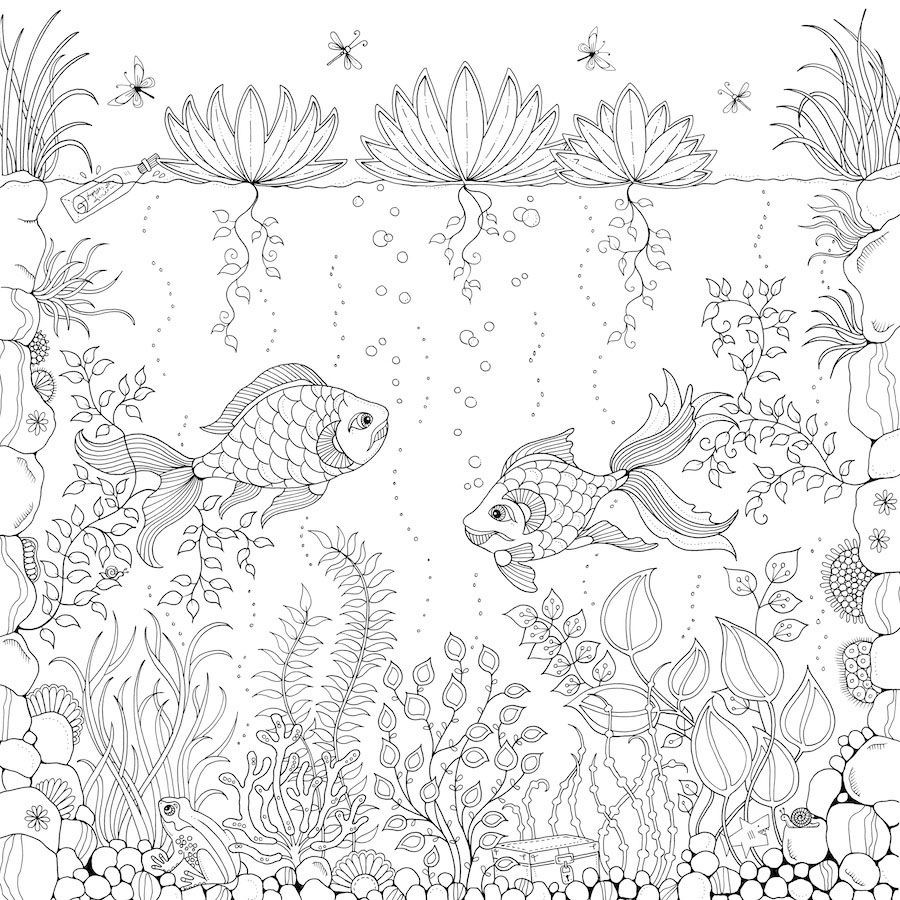 900x900 Noticeable Secret Garden Free Coloring Pages