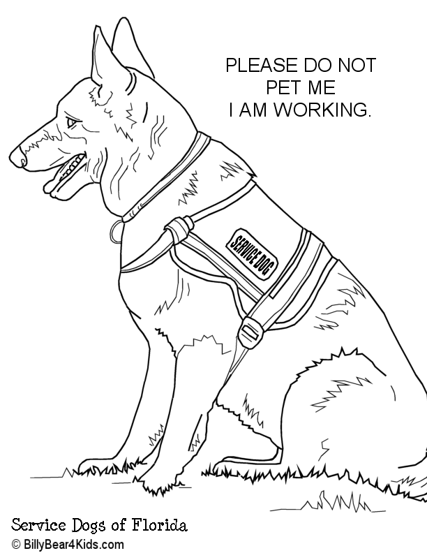 612x792 Service Dog Tags