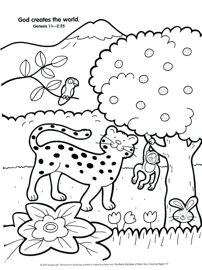 710x950 Seven Day Creation Coloring Pages Story Days Of Gods Bible Colorin