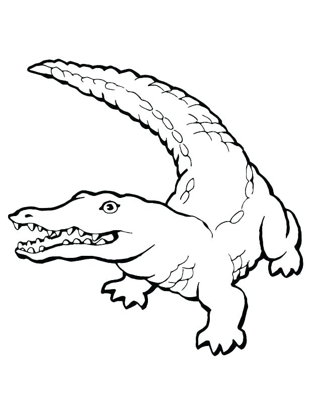 618x824 Coloring Page Alligator Coloring Page Alligator Coloring Page
