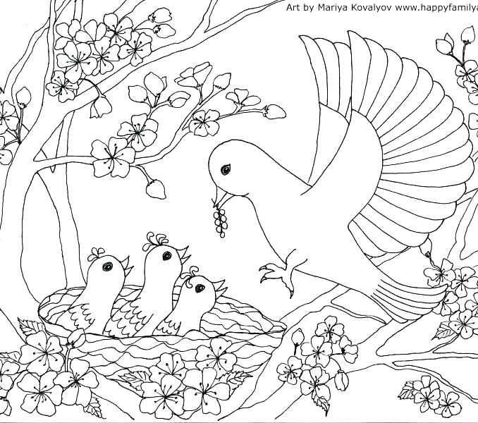678x600 This Is Shabbat Coloring Pages Images Coloring Page Click