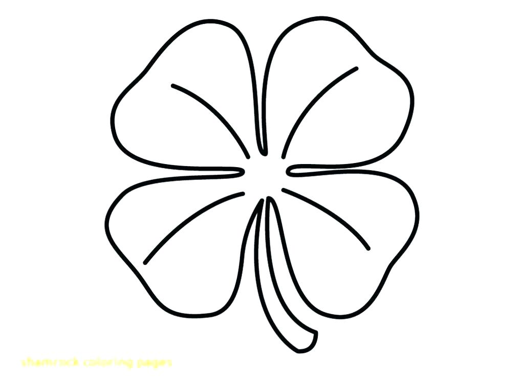 1024x765 Shamrock Coloring Page