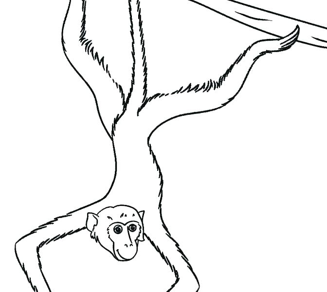 672x600 Shamu Coloring Pages Five Little Monkeys Coloring Page Printable