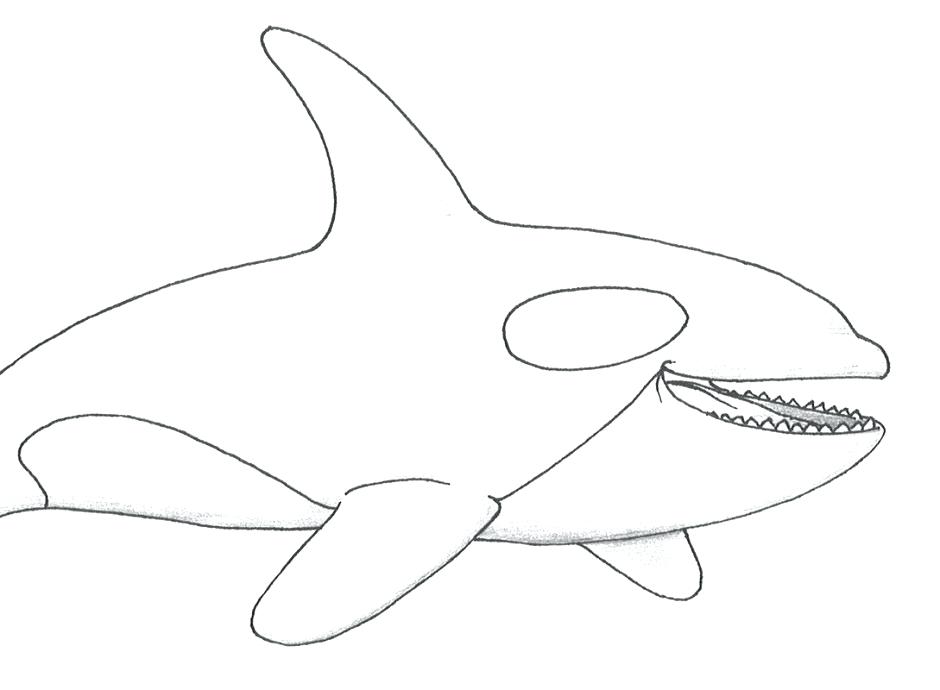 940x690 Shamu Coloring Pages Whale Coloring Pages Whale Coloring Pages