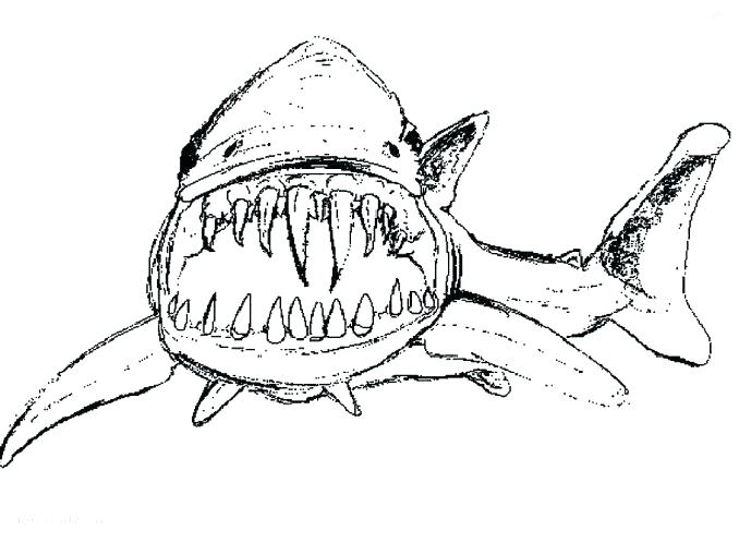 689x498 Shark Boy Coloring Page Coloring Pages Of Sharks Whale Shark