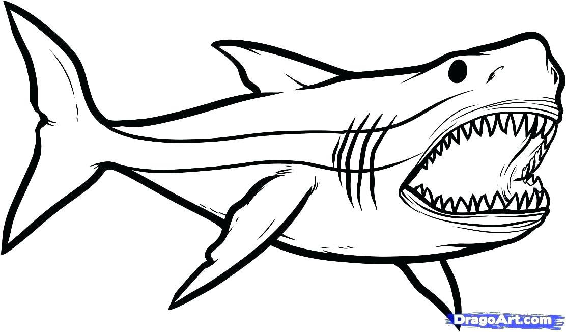 1112x652 Coloring Pages Shark Coloring Pages Shark Coloring Pages X