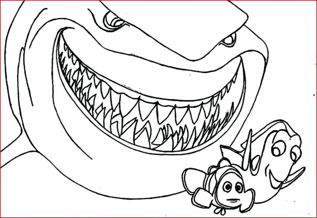 1051x721 Hammerhead Shark Coloring Page Shark Coloring Pages Printable