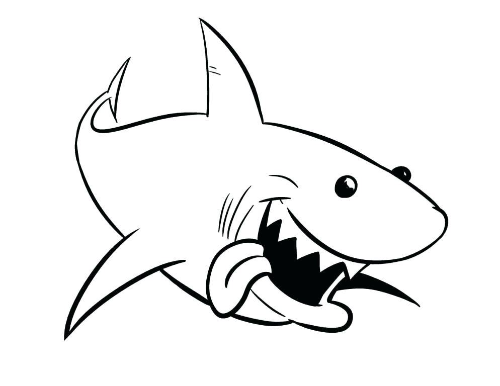 994x768 Megalodon Shark Coloring Pages Coloring Pages Coloring Pages Great