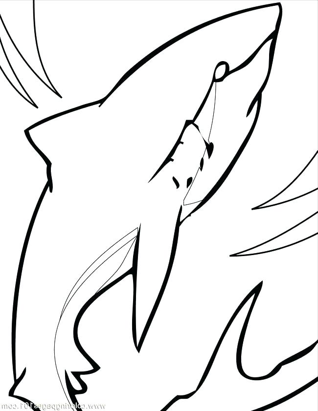 650x841 Megalodon Shark Coloring Pages Shark Coloring Pages Great White