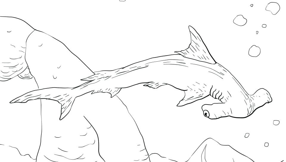 960x544 Shark Coloring Pages Free Shark Coloring Pages Printable Whale