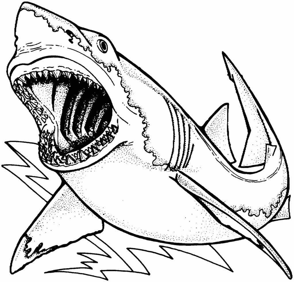 1024x984 Shark Coloring Pages Preschool In Funny Page Photo Printables
