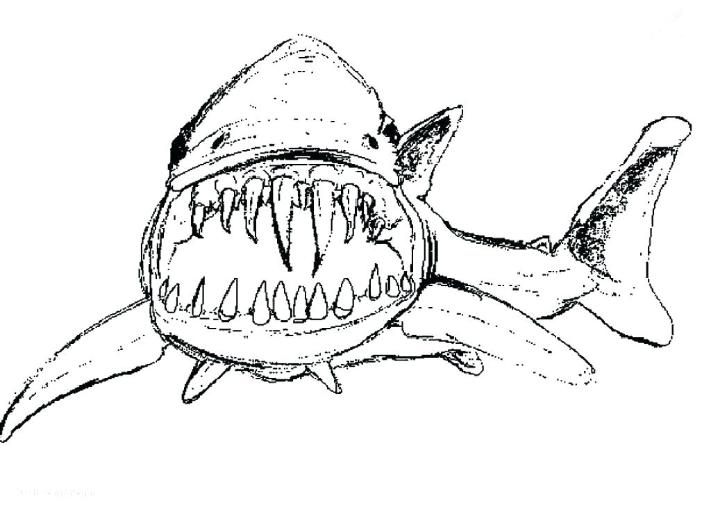 1024x740 Shark Coloring Book Pages Shark Coloring Book Pages Shark Coloring