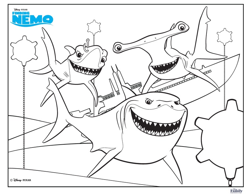 800x617 Shark Coloring Pages Printable
