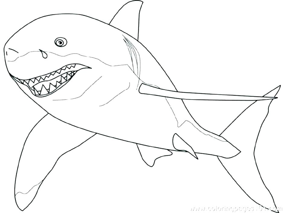 940x704 Shark Coloring Pages Printable Shark Coloring Book Shark Coloring