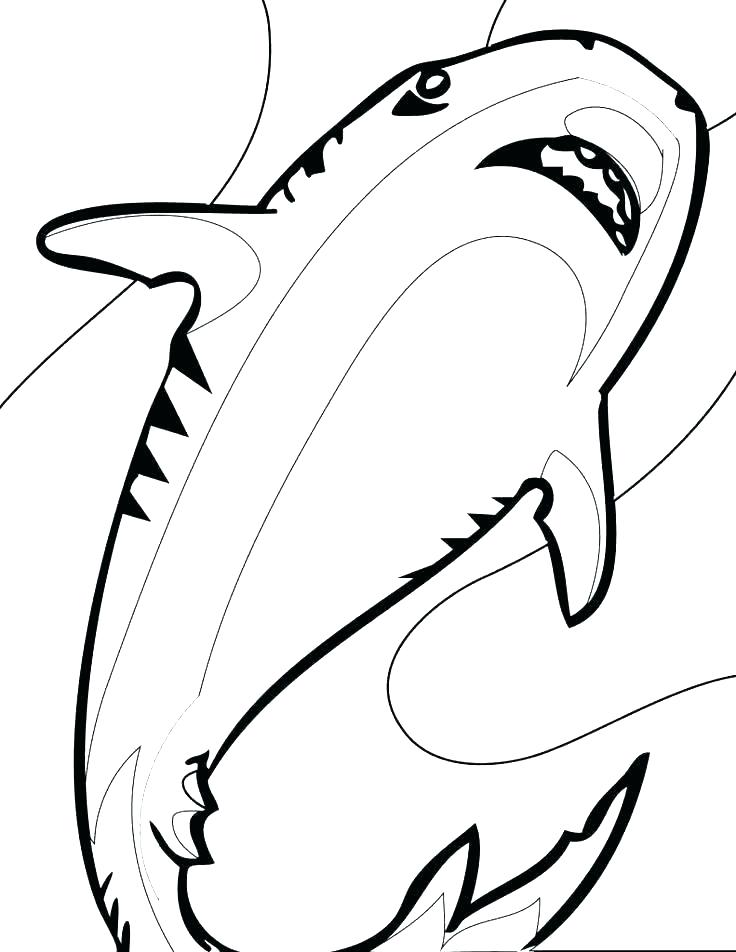 736x952 Sharks Coloring Shark Color Page Shark Tale Printable Coloring