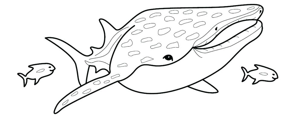 1000x384 Whale Shark Coloring Pages Printable Whale Shark Coloring Pages