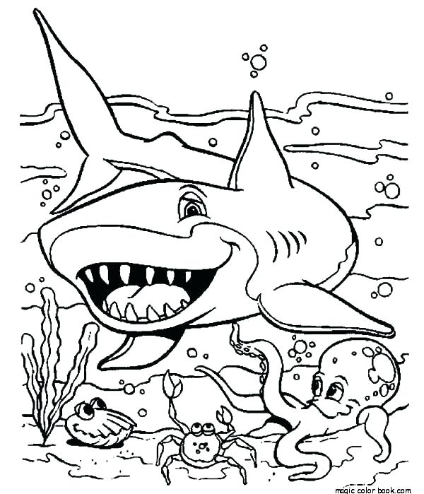 600x699 Shark Coloring Sheet