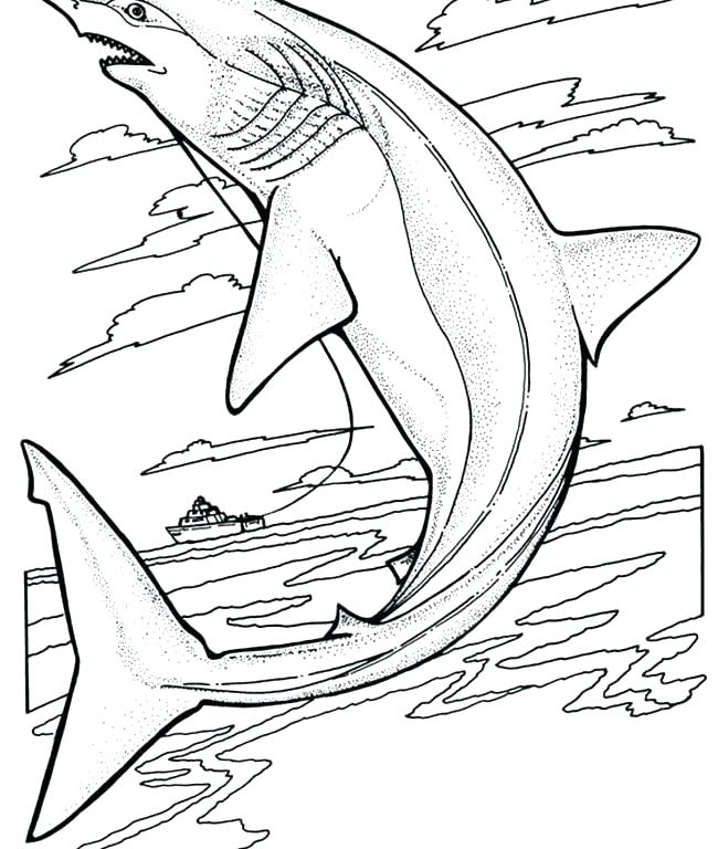 650x768 Free Printable Great White Shark Coloring Pages Kids Coloring Free