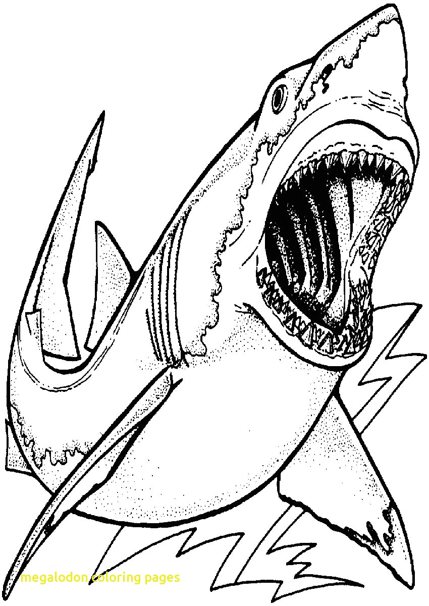 850x1200 Innovative Shark Colouring Pictures Free Printable Coloring Pages