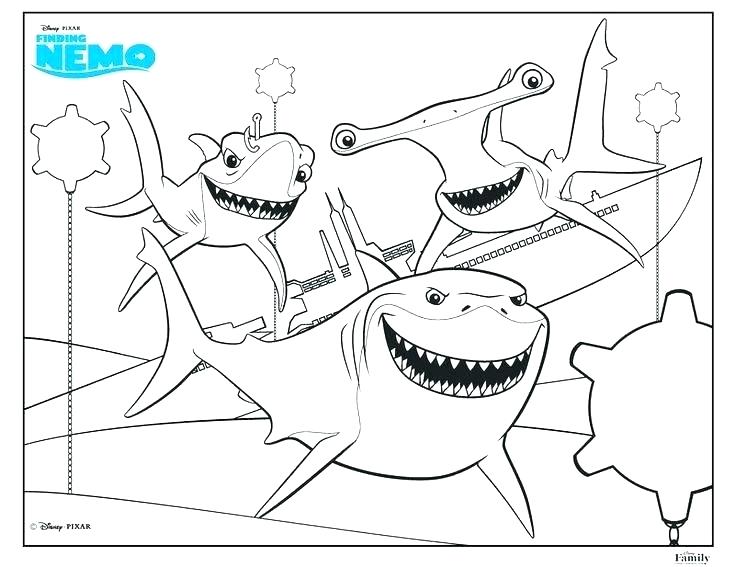 735x567 Shark Coloring Pages To Print Shark Coloring Pages Printable Shark