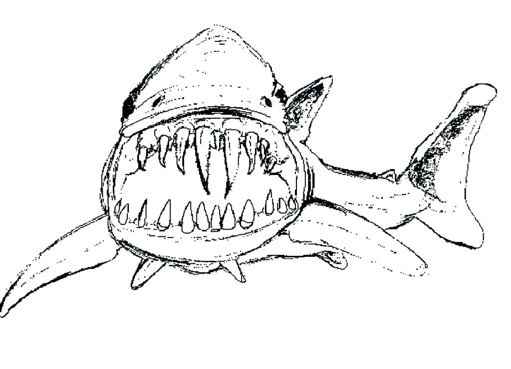 1024x740 Shark Printable Coloring Pages