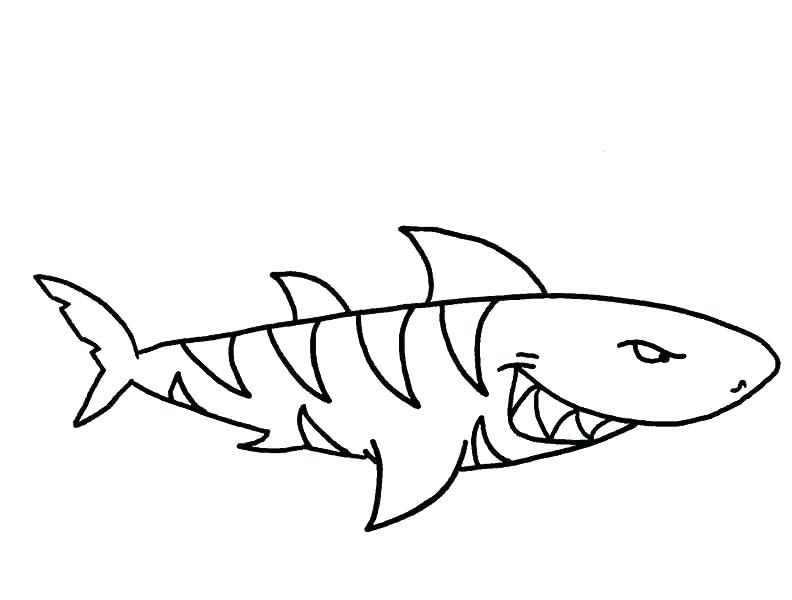 792x600 Shark Printable Coloring Pages Shark Coloring Pages Printable
