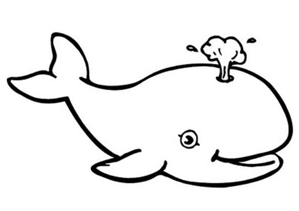1024x724 Whale Coloring Pages Improved Page Dolphin And Shark Printable