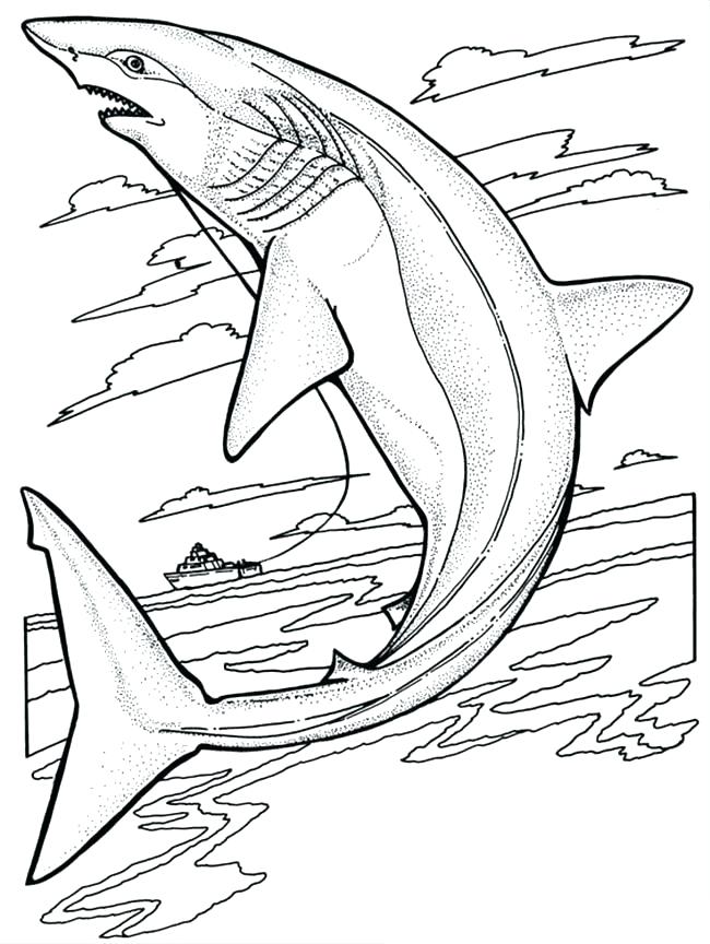 650x864 Coloring Shark Coloring Page Shark Whale Shark Coloring Pages