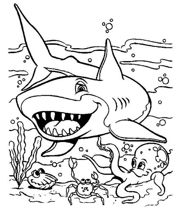 600x699 Shark Coloring Page Free Download