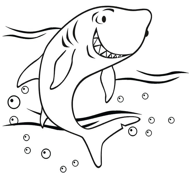650x600 Sharks Coloring Page Free Shark Coloring Pages Sharks Coloring