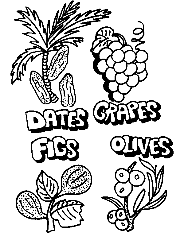 625x808 Shavuot Coloring Pages