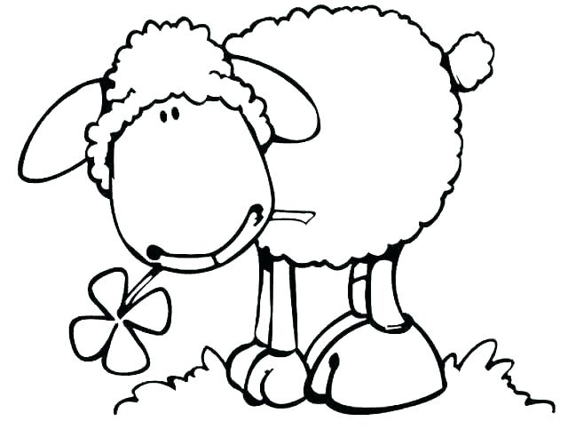 640x483 Sheep Coloring Pages Lamb Coloring Page Sheep Com Inside Decor