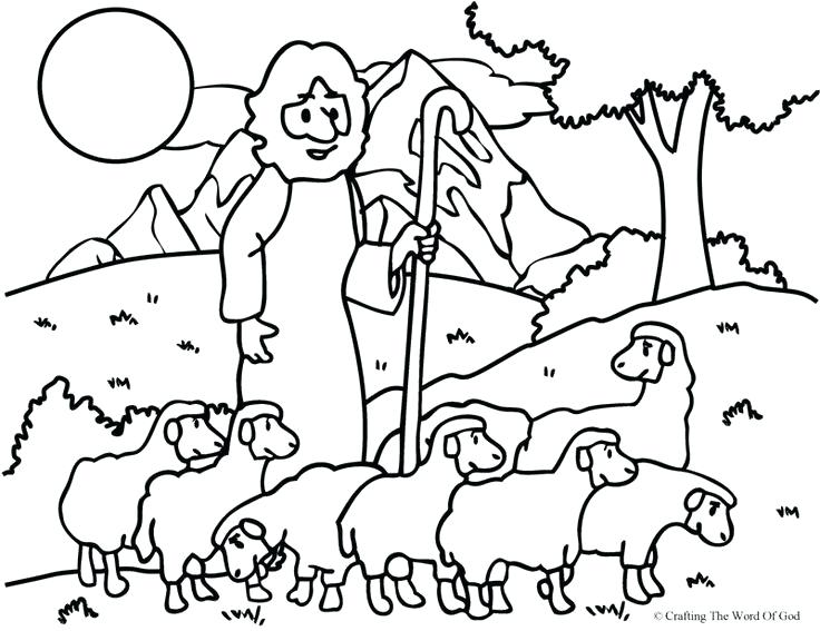 736x567 Sheep Outline Drawing Coloring Page Cartoon Images Free Printable