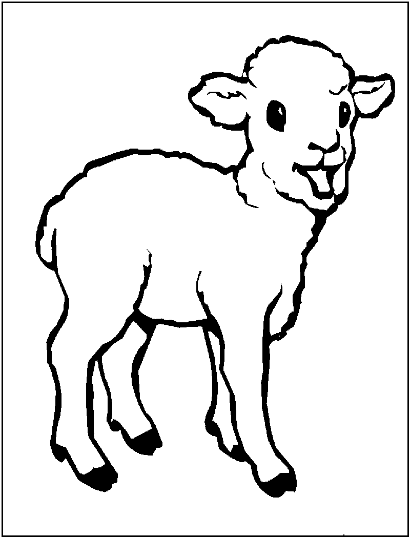 800x1050 Unique Sheep Coloring Pages To Print Free Prin