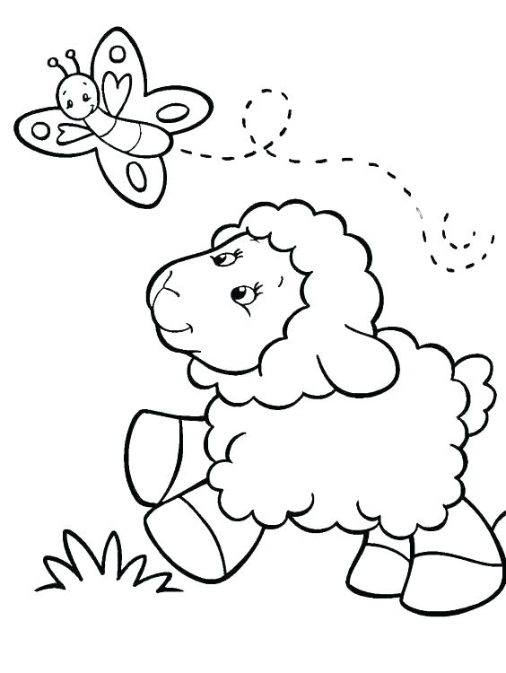 564x750 Sheep Coloring Pages Preschool