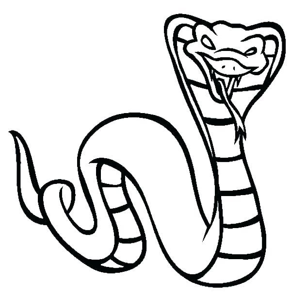 600x612 King Cobra Coloring Pages
