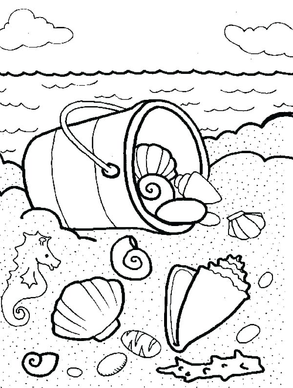 600x793 Sea Shell Coloring Page Seashell Pictures To Color Sea Shell