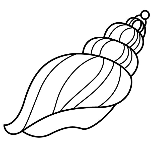 610x610 Shell Coloring Pages Unique Free Coloring Pages Of Conch Shell