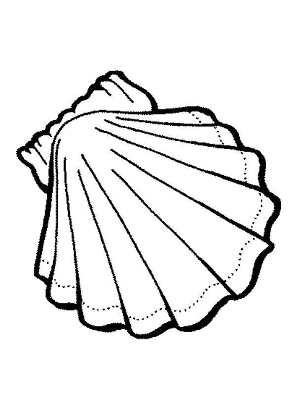 600x849 Shell Coloring Pages To Download And Print For Free