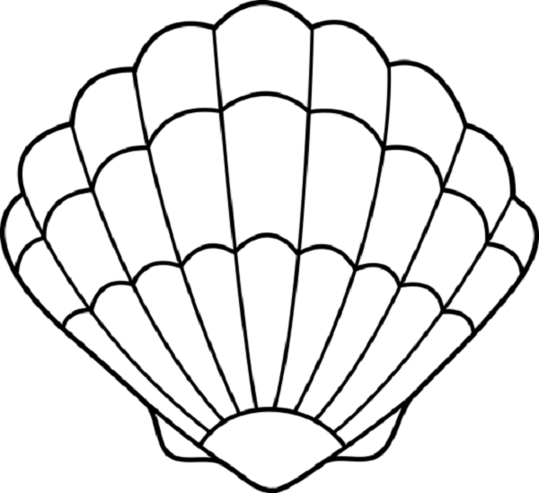 600x549 Clam Shell Coloring Pages Coloring Kids Cameron Turns