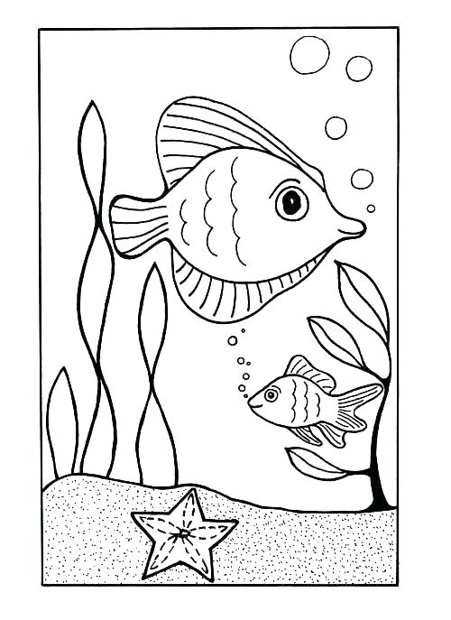 500x687 Coloring Pages Sea Shells