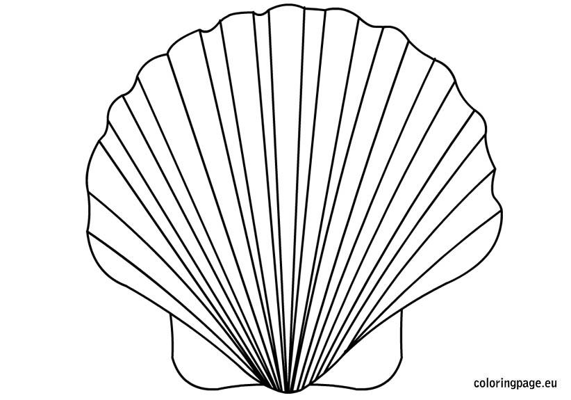 822x575 Shell Coloring Pages Shell Coloring Page Ideas