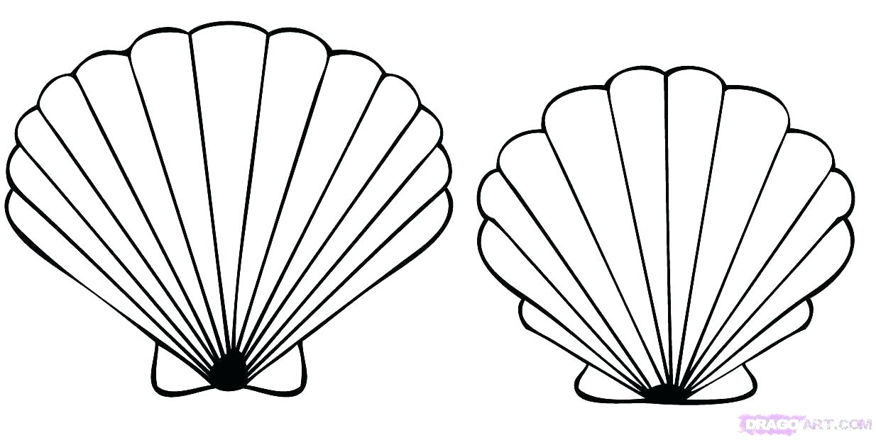 1234x621 Coloring Pages Sea Shells Coloring Pages Of Seashells Coloring