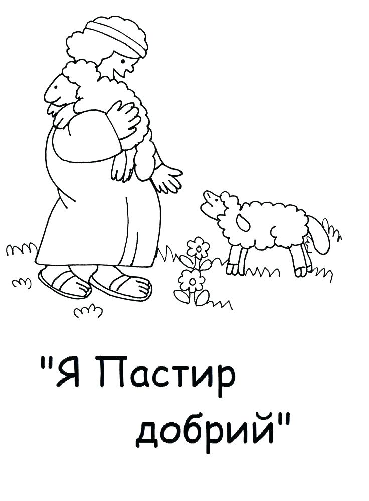736x1000 Shepherd Coloring Pages Shepherd Coloring Page The Good Shepherd