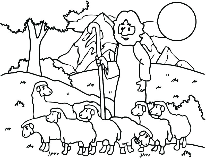 800x617 Australian Shepherd Coloring Pages Shepherd Coloring Page Shepherd