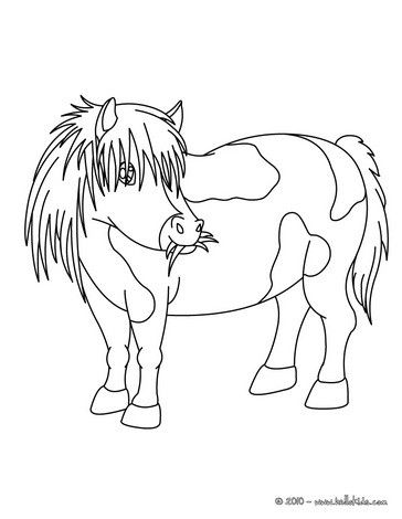 364x470 Shetland Pony Coloring Pages
