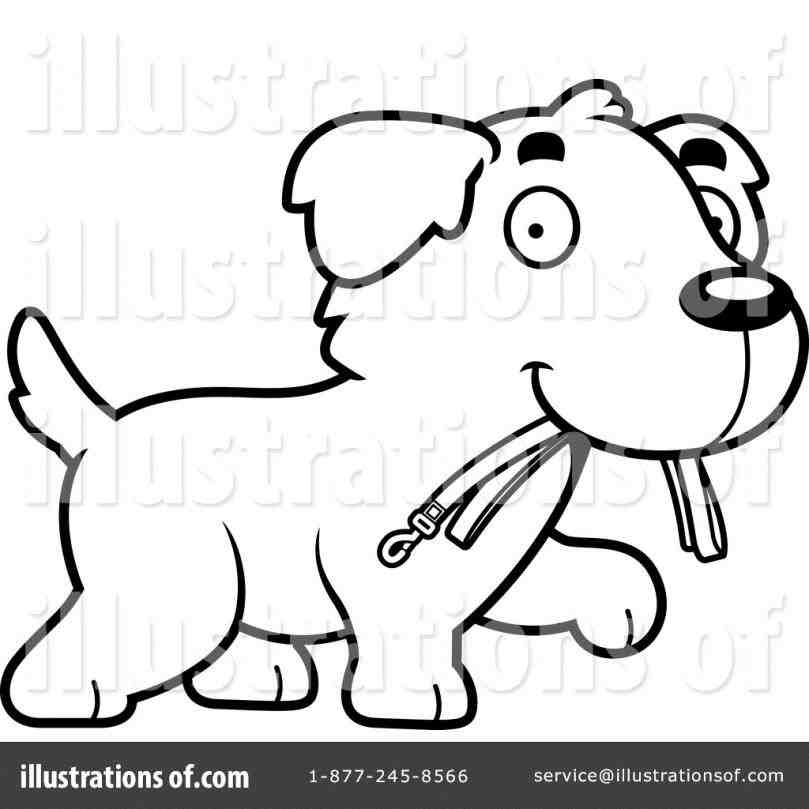 809x809 Shepherd Shiba Inu Dog Free Images Vertebrate Breed Pomeranian