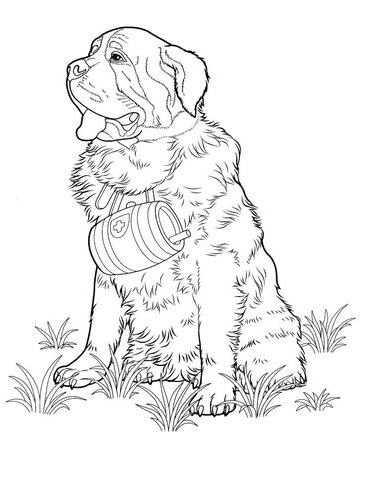 736x1010 Shih Tzu Coloring Pages Book Dog Adult For Adults Printable