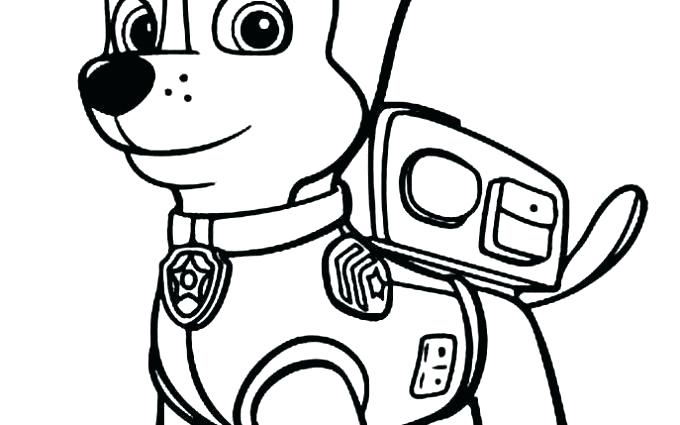 680x425 Shih Tzu Coloring Pages Coloring Paw Patrol Paw Patrol Coloring