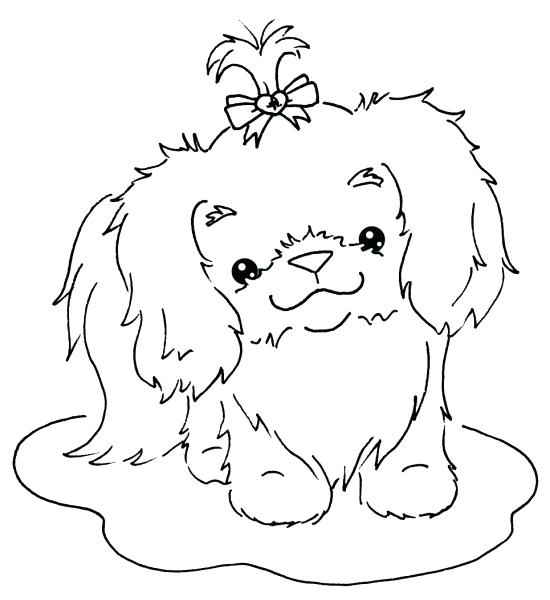 550x600 Shih Tzu Coloring Pages Epic With Additional Fee Print Coloring